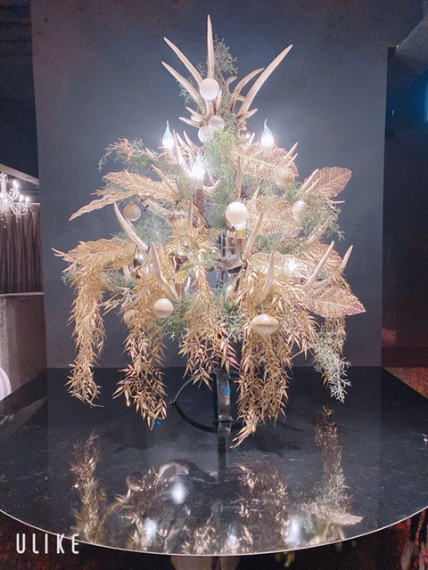 札幌　冬　シーシャクリスマスにANACHRO